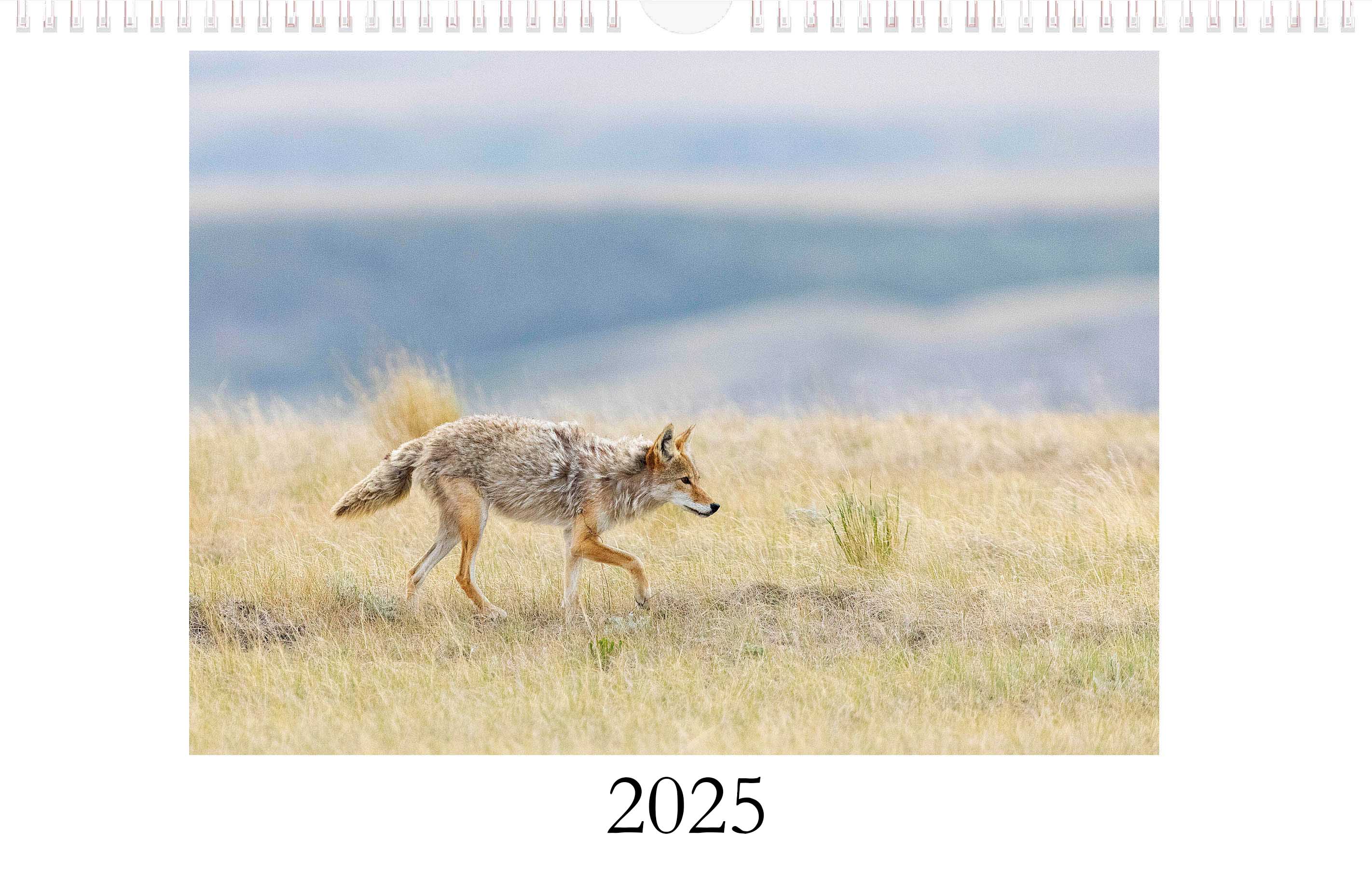 Calendar cover