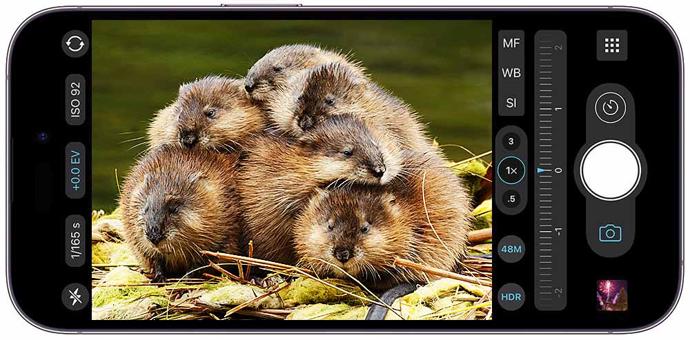 iPhone 14 camera screen