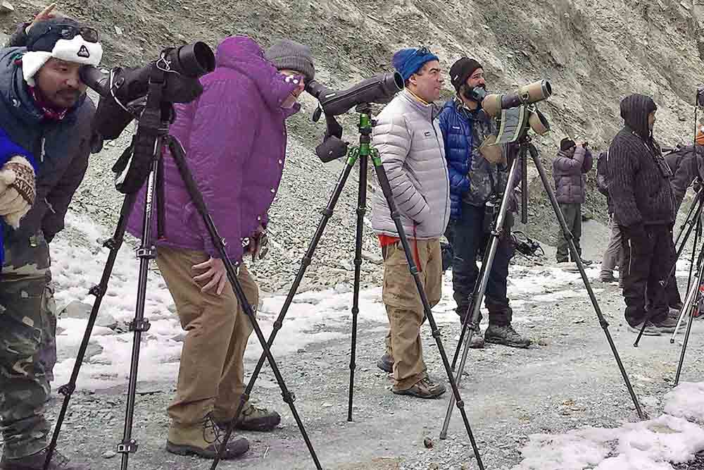 Spotting scopes in use