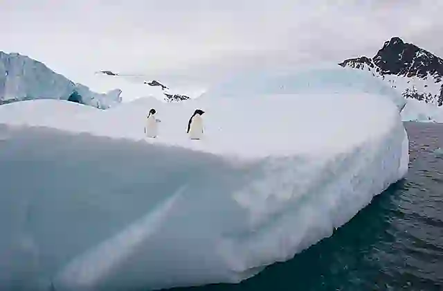 Adelie Penguins (Pygoscelis adeliae) on small iceberg.
