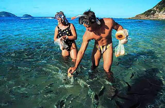 Young couple feeding fish off island beach, Lord Howe Island, NSW, Australia.